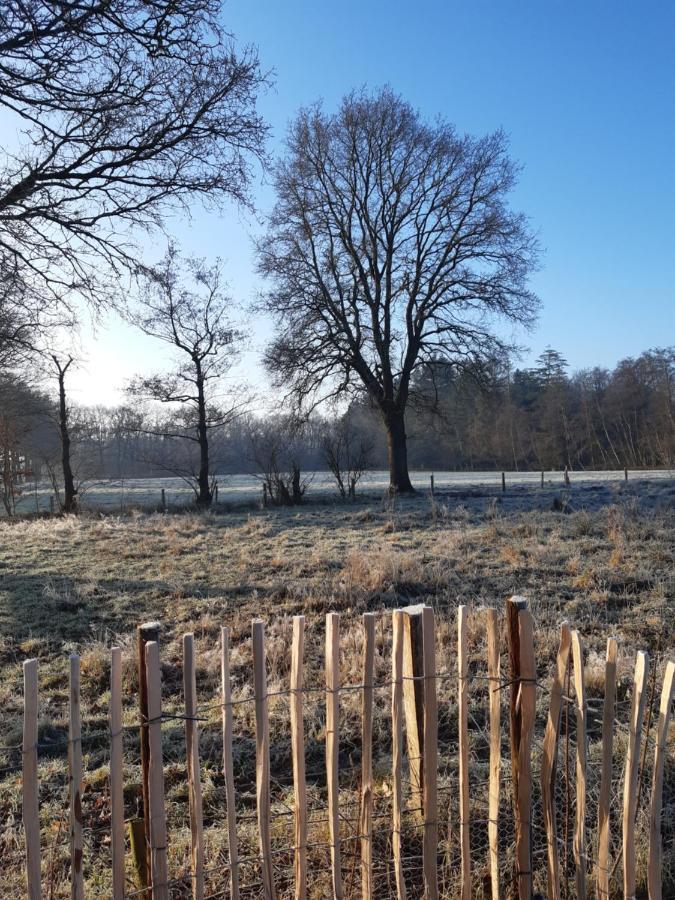B & B Twijfelveld Assen Esterno foto