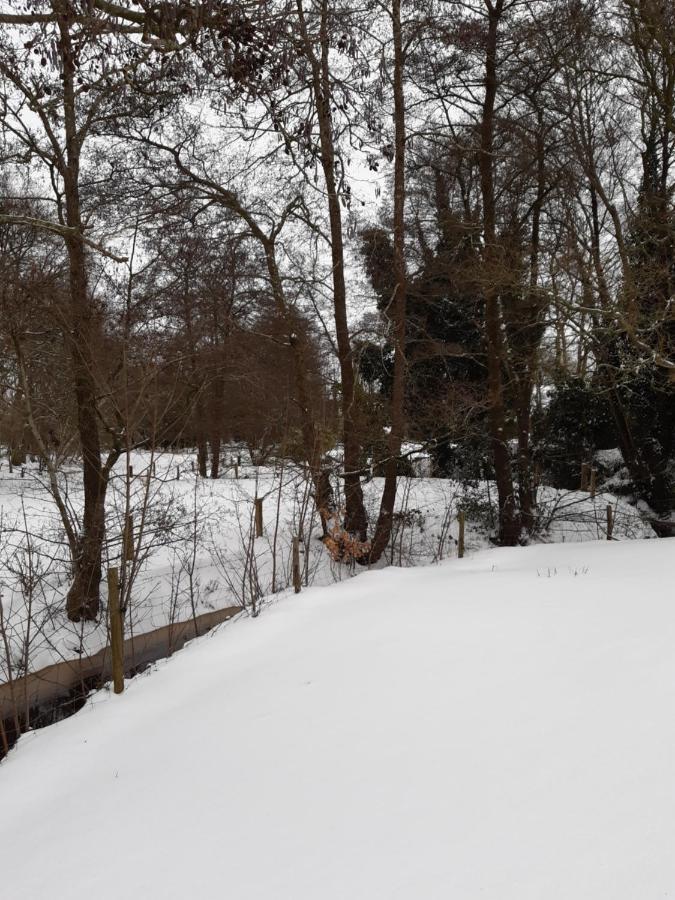 B & B Twijfelveld Assen Esterno foto