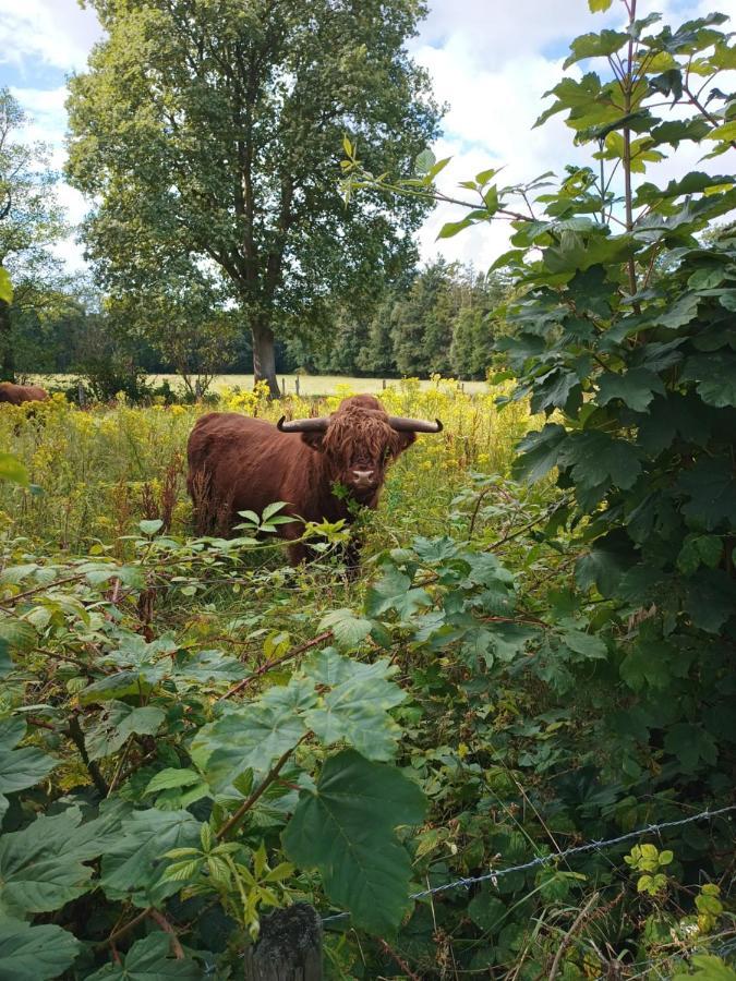 B & B Twijfelveld Assen Esterno foto
